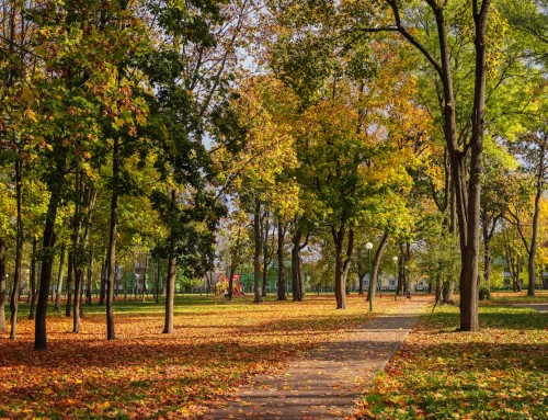 🌟 October Visa Bulletin Is Here: Time to File Your Green Card! 🌟